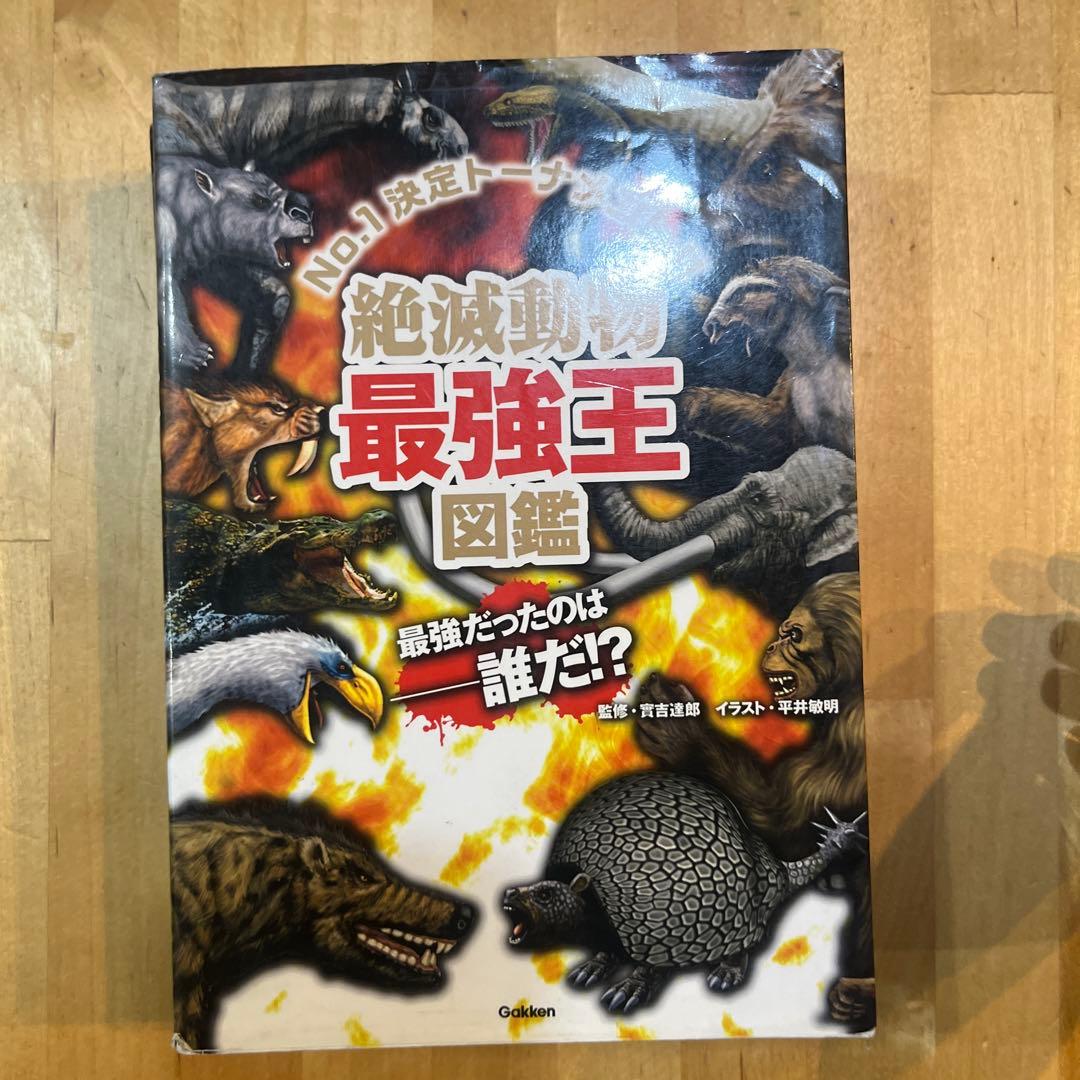 最強王シリーズ　【まとめ買い】可【バラ買い】可