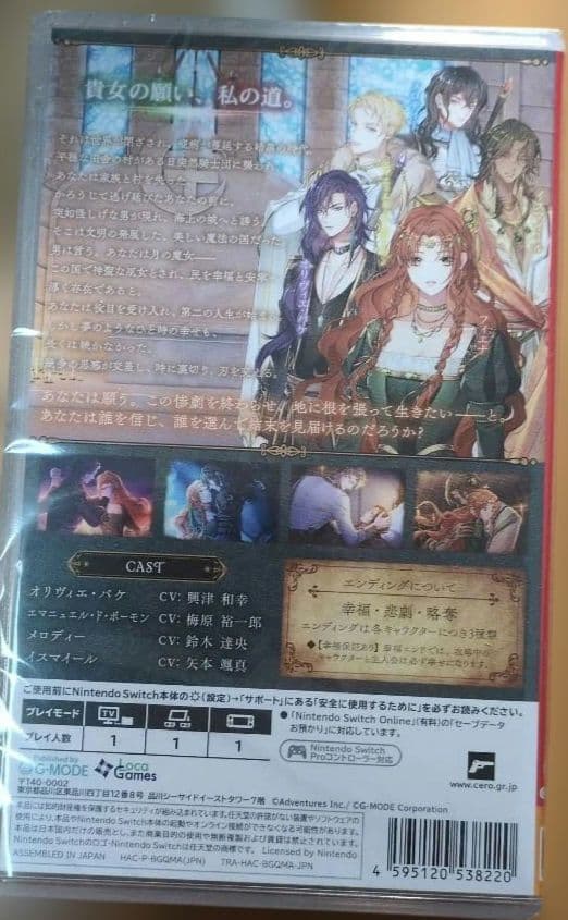 Switch 魔女と亡霊のヴォロンテ 通常版