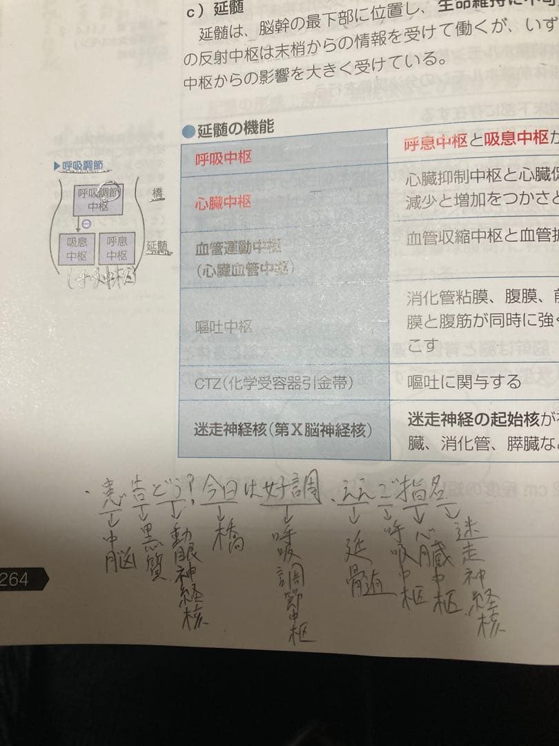 【青本】第111回薬剤師国家試験対策参考書 改訂第15版　値下げ可能です