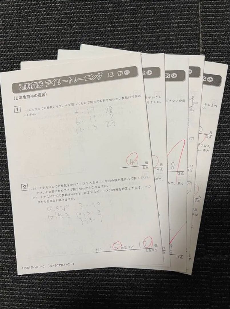 2025年度最新　サピックス6年　夏期志望校錬成特訓 筑駒　開成コース　4教科