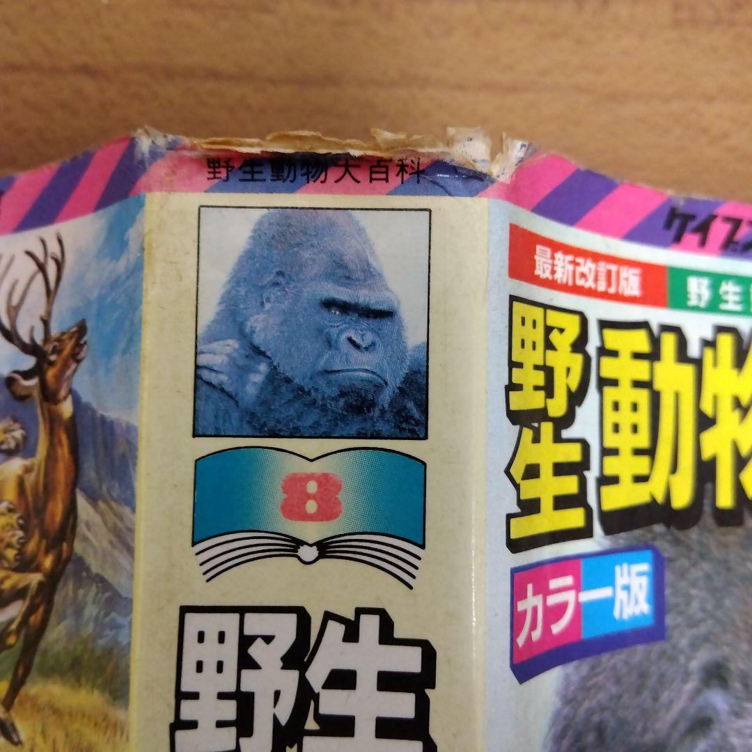 ケイブンシャ大百科8 野生動物大百科