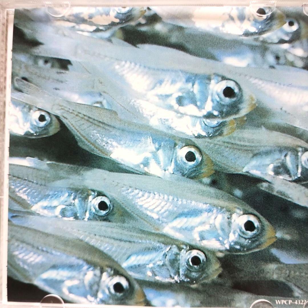 RIDE CD5枚　セット売り　ライド