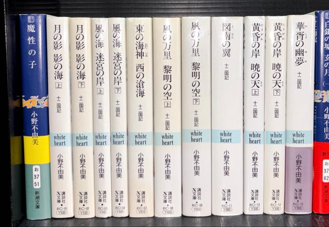 十二国記 屍鬼 残穢 小野不由美 ガイドブック 全26冊