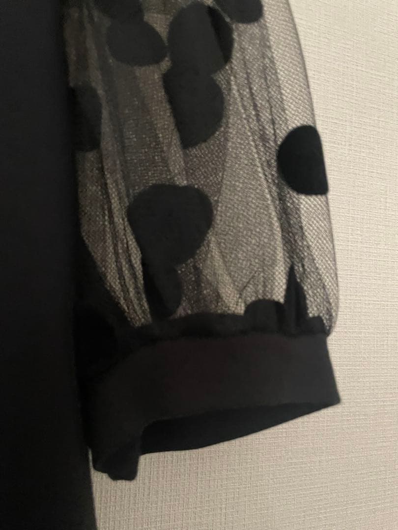 本日限定値下げ　ドゥロワーにて購入Nina Ricci ポルカドットTシャツ