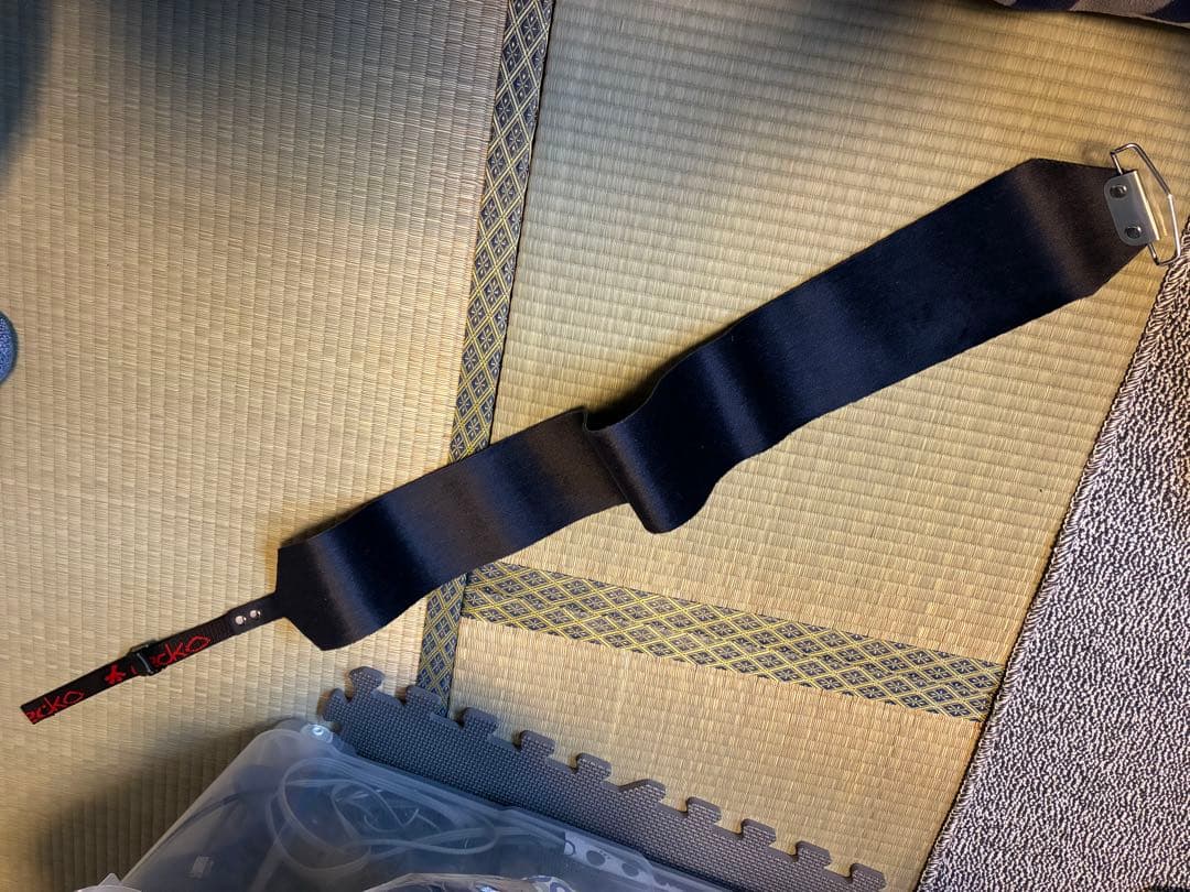 【未使用品】GECKO スキーシール