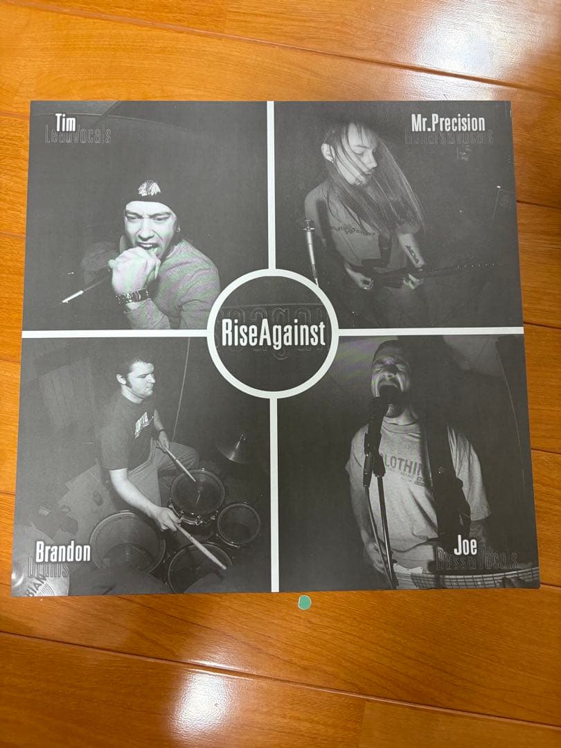 中古　Rise Against The Unraveling レコード
