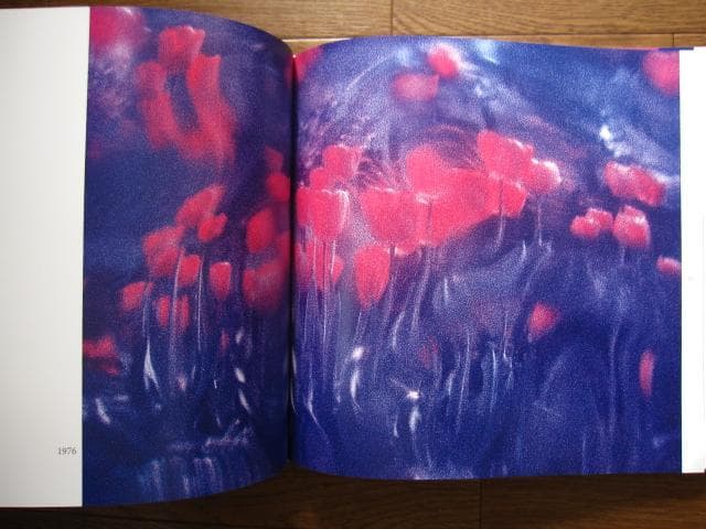 COLOR WORK　Rene Groebli　ルネ・グローブリ