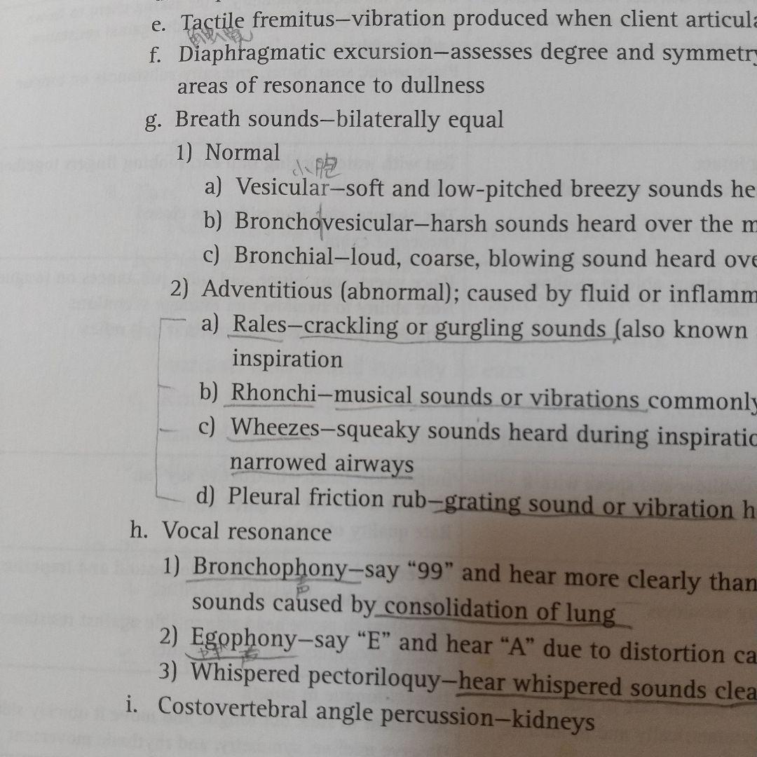 KAPLAN Nursing the basics 書き込みあり