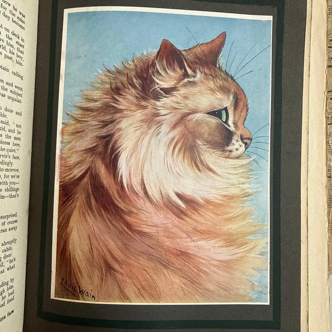 稀少ルイスウェイン絵本アンティーク洋書　古書ジャンクジャーナル　ヴィクトリアン