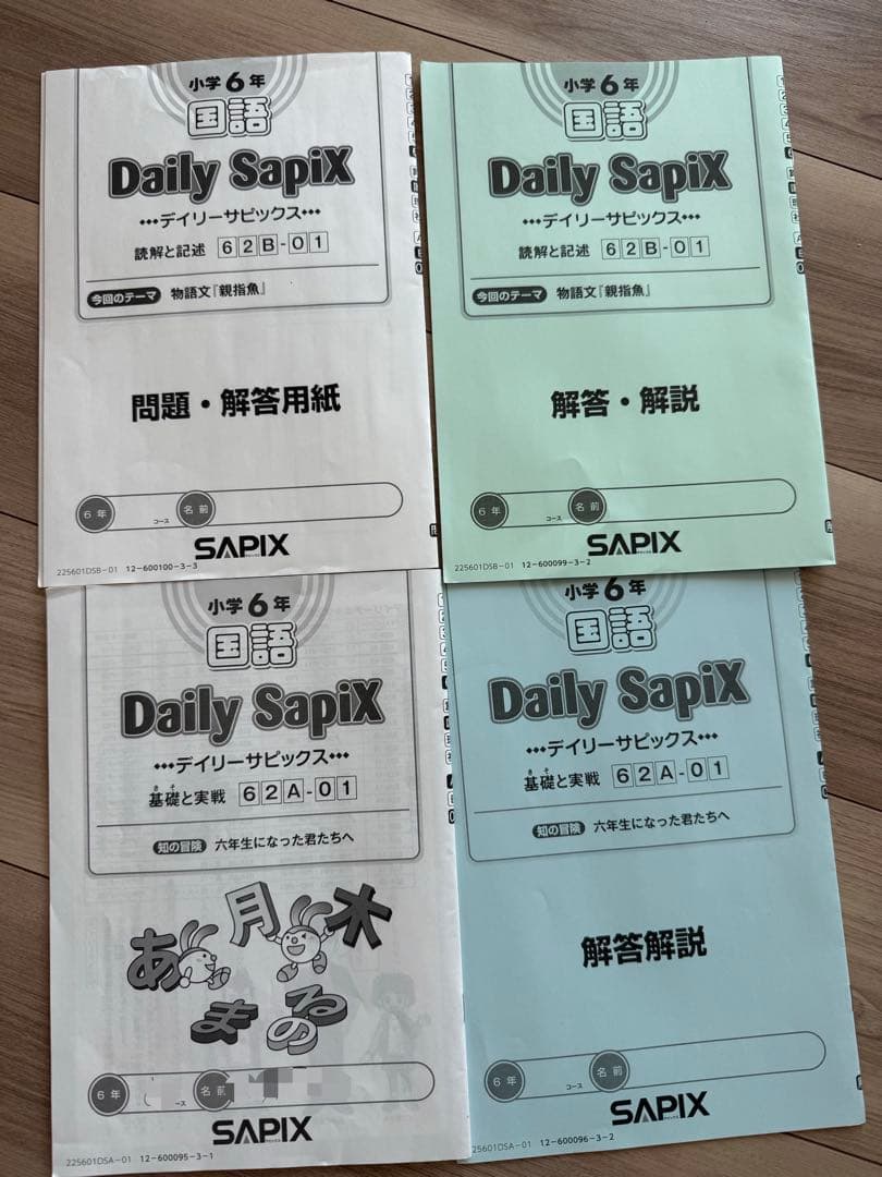 最新版2025「Sapix 6年」サピックス 六年　国語　通常授業1~17回目
