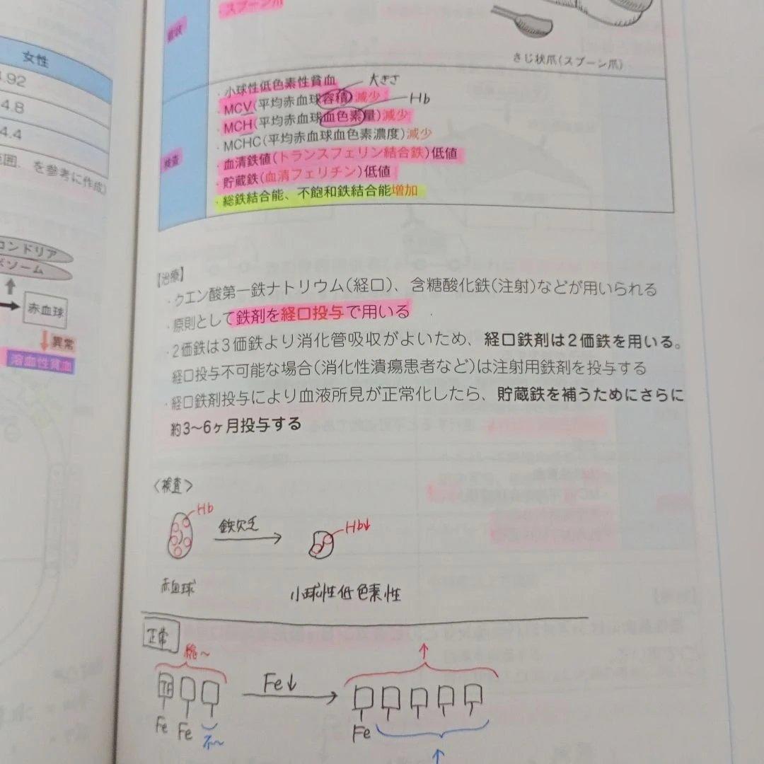 コアカリ 重点ポイント集& コアカリマスター 全6巻 セット 改訂第8版 薬剤師