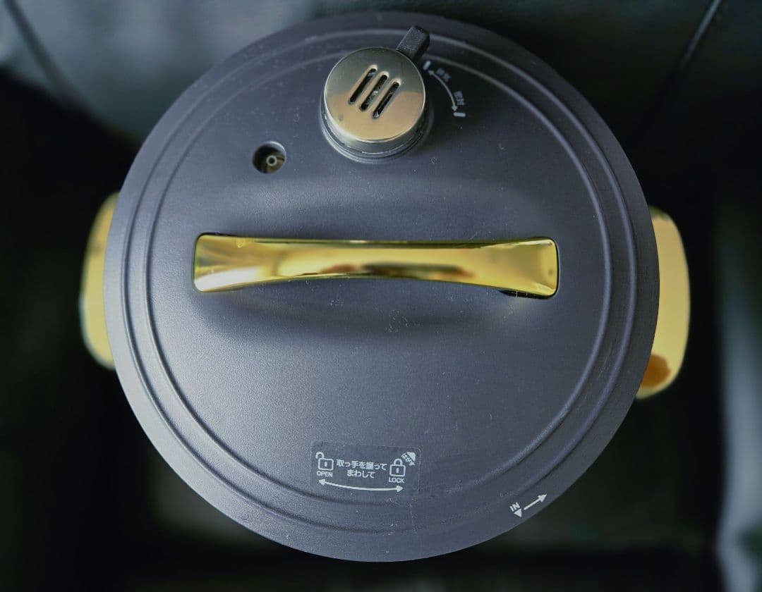 Re・De Pot リデポット 電気圧力鍋 ブラック 2L PCH-20LB