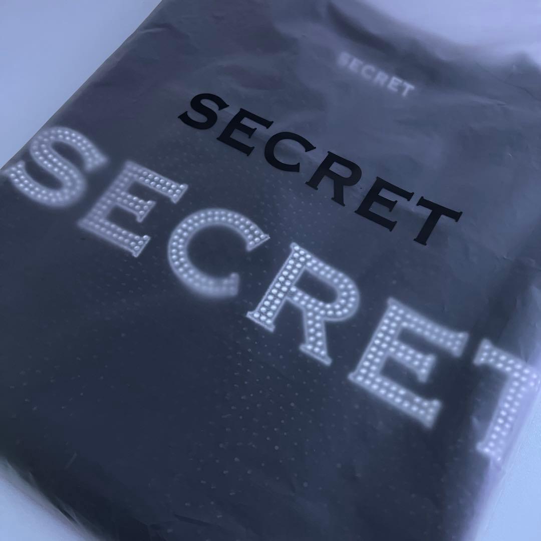 SECRET DREAMIN’ STONE T-shirt