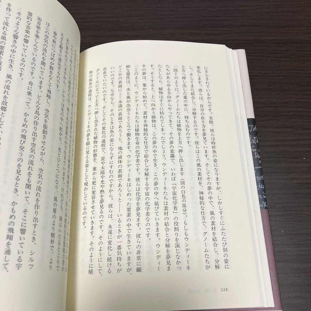 【初版帯付き】シュタイナー宇宙的人間論 : 光、形、生命と人間の共振