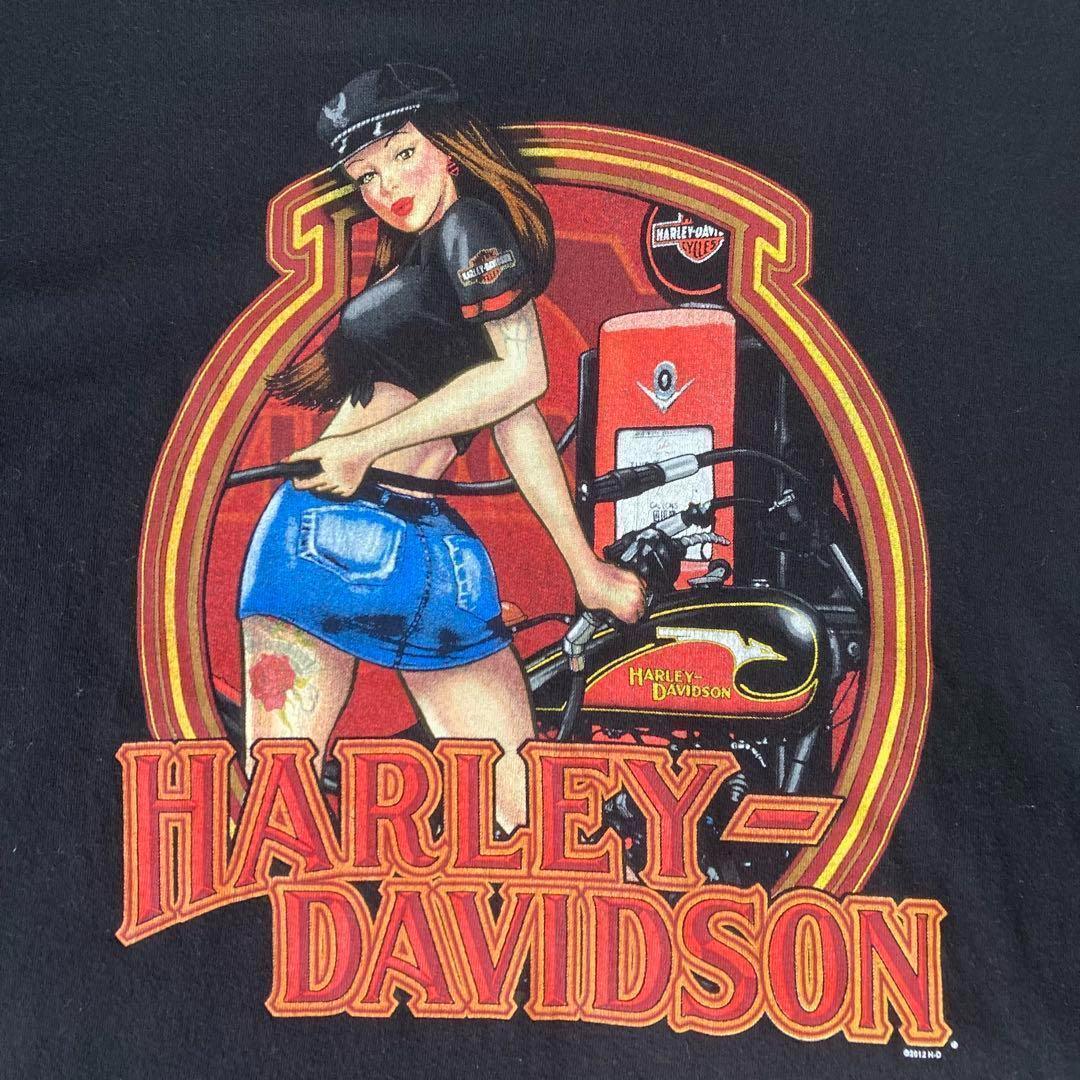 ⭐️美品⭐️ ハーレーダビッドソン　Tシャツ 黒　2XL　ピンナップガール　両面