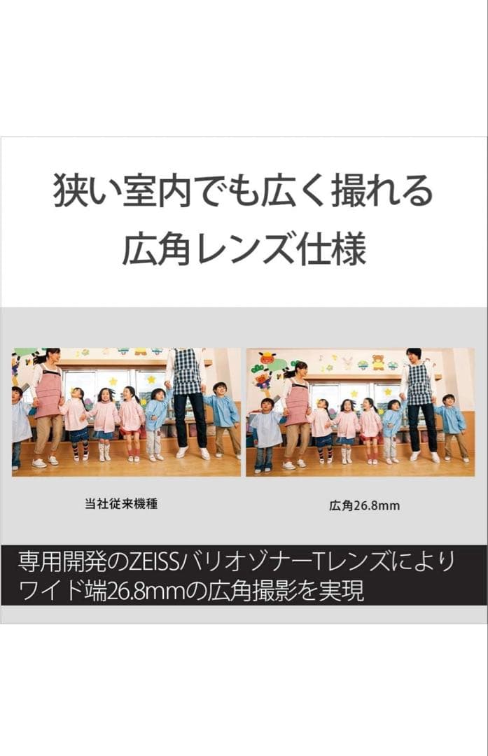 SONY 4K ビデオカメラ Handycam FDR-AX45