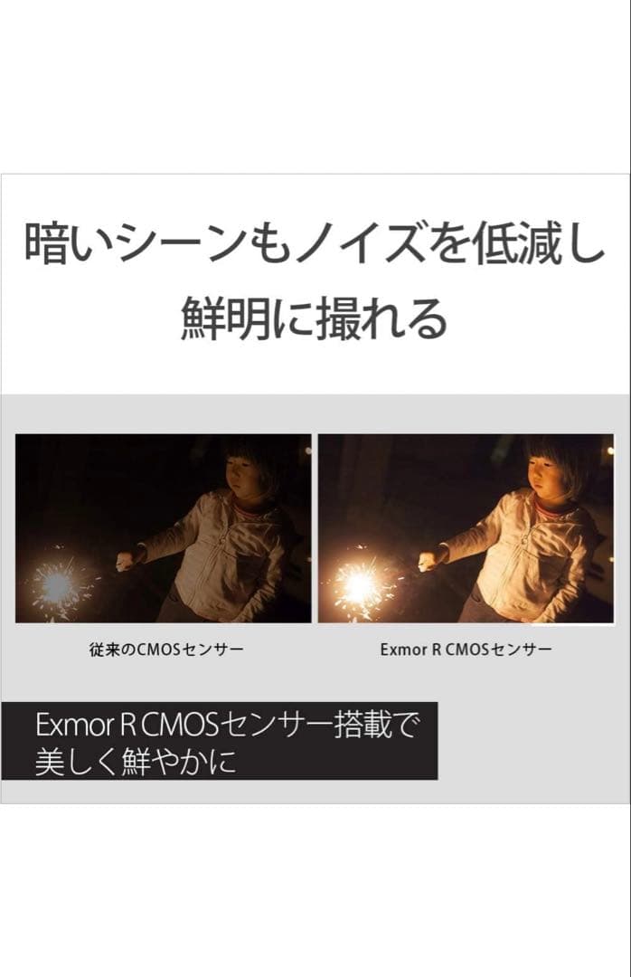 SONY 4K ビデオカメラ Handycam FDR-AX45