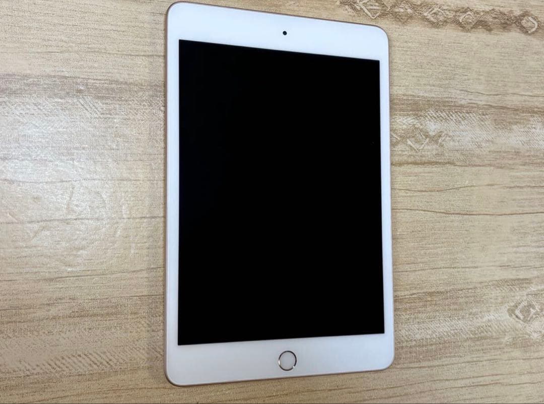 iPad mini (第5世代) Wi-Fiモデル 256GB