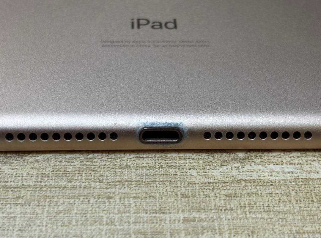 iPad mini (第5世代) Wi-Fiモデル 256GB