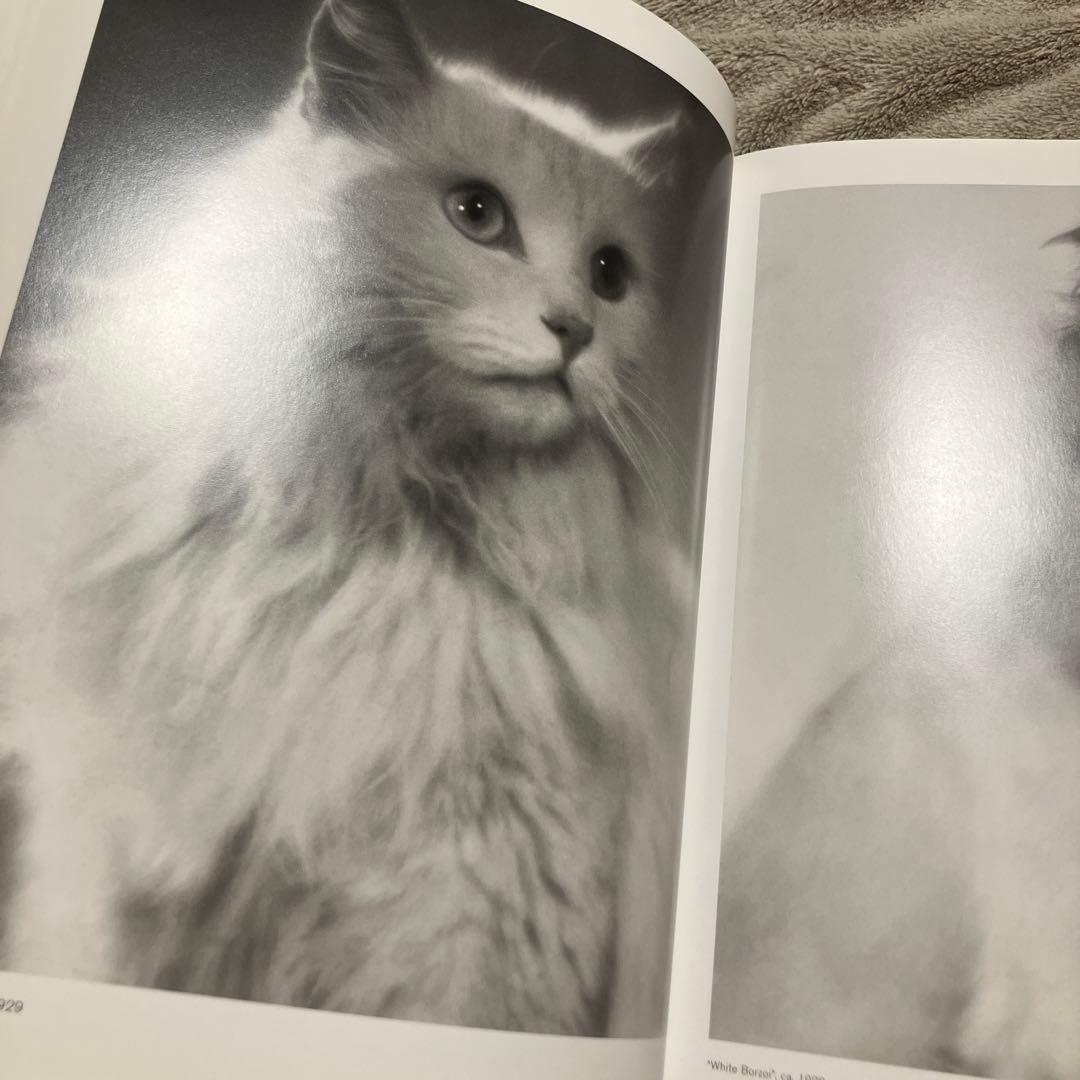 Martin Munkacsi マーティン・ムンカッチ　写真集