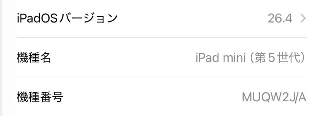 iPad mini 第5世代 64GB Wi-Fi スペースグレイ 92%