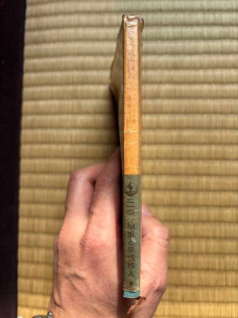 抽象と感情移入: 東洋芸術と西洋芸術 (岩波文庫 青 650-1)
