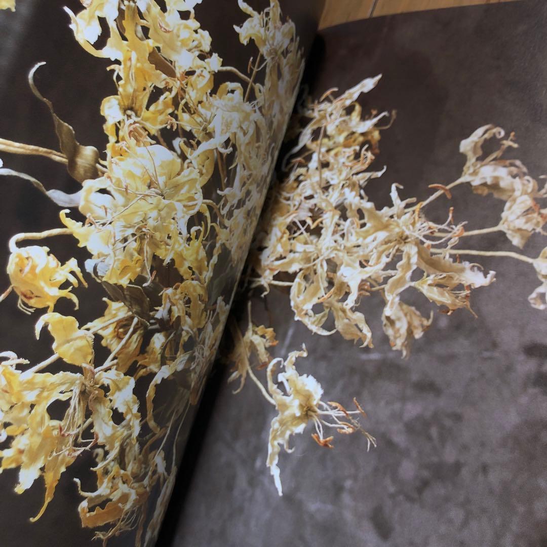 布花、咲いた : 半田君江作品集