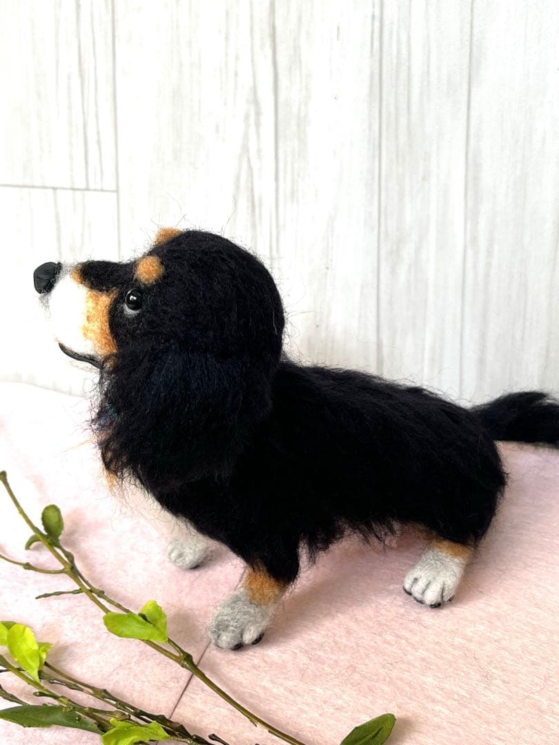 ちくたく　羊毛フェルト犬　 コーギー×コッカー＝バーニーズ？