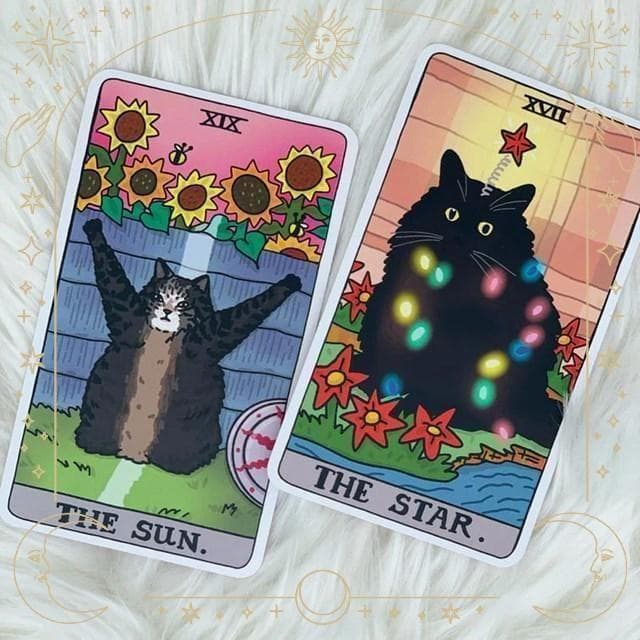 【正規品タロットカード】タイ発人気デッキ✨入手困難品✨超キュートな猫ちゃんデッキ