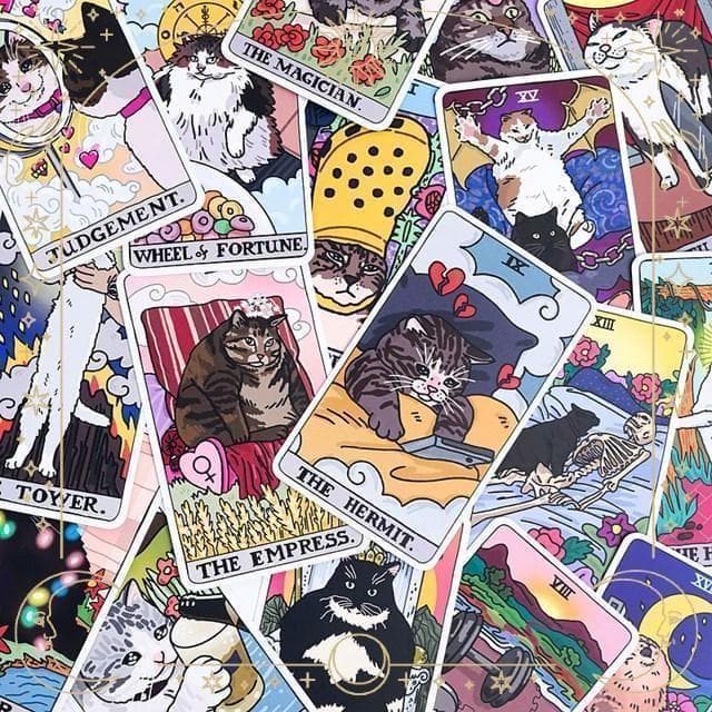 【正規品タロットカード】タイ発人気デッキ✨入手困難品✨超キュートな猫ちゃんデッキ