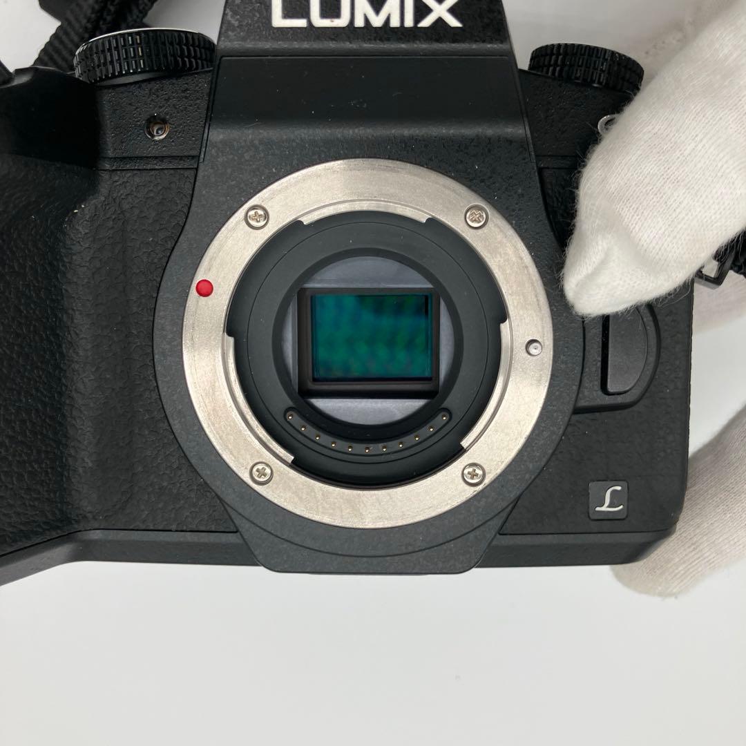 デジタルカメラ Panasonic LUMIX DMC-G8