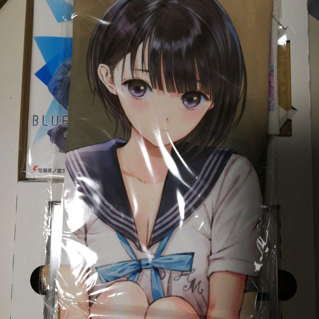 BLUE REFLECTION 幻に舞う少女の剣 プレミアムボックス