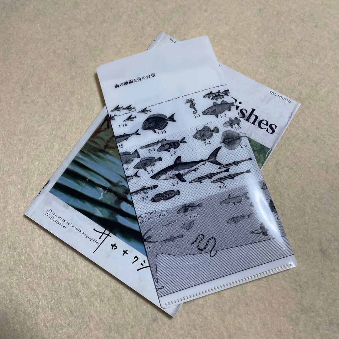 サカナクション 魚図鑑 2CD 魚図鑑 Blu-ray 魚分布図チケットホルダー
