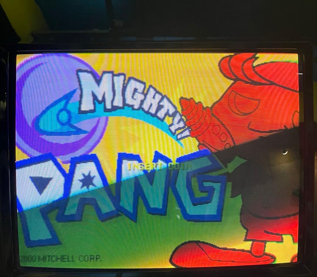 アーケードゲーム基板　マイティパン