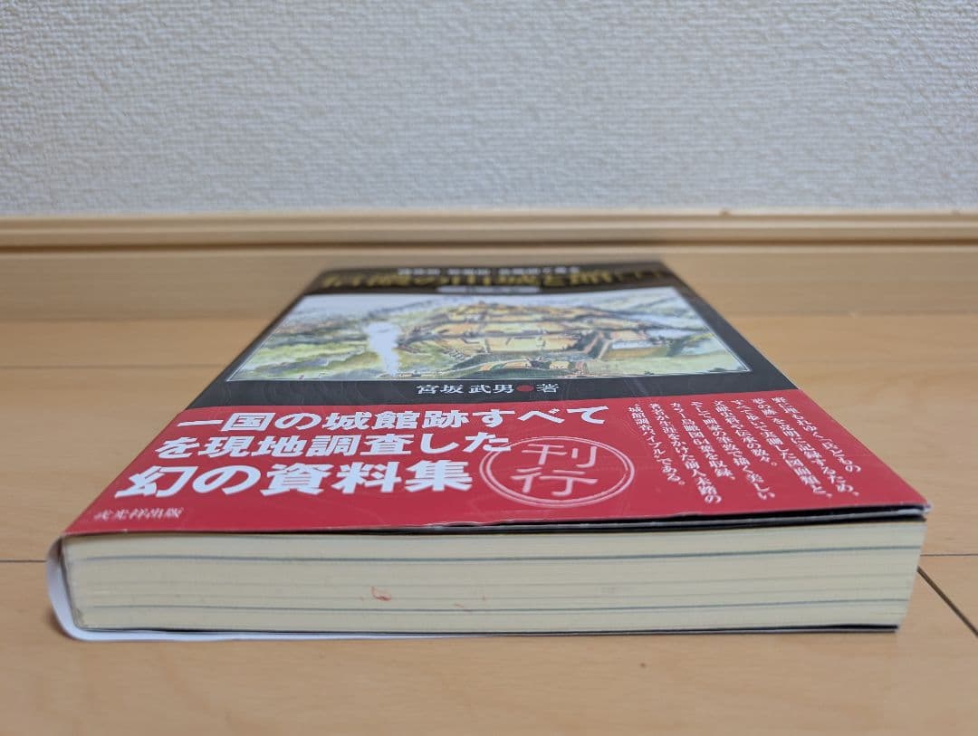 縄張図・断面図・鳥瞰図で見る信濃の山城と館 1 (佐久編)