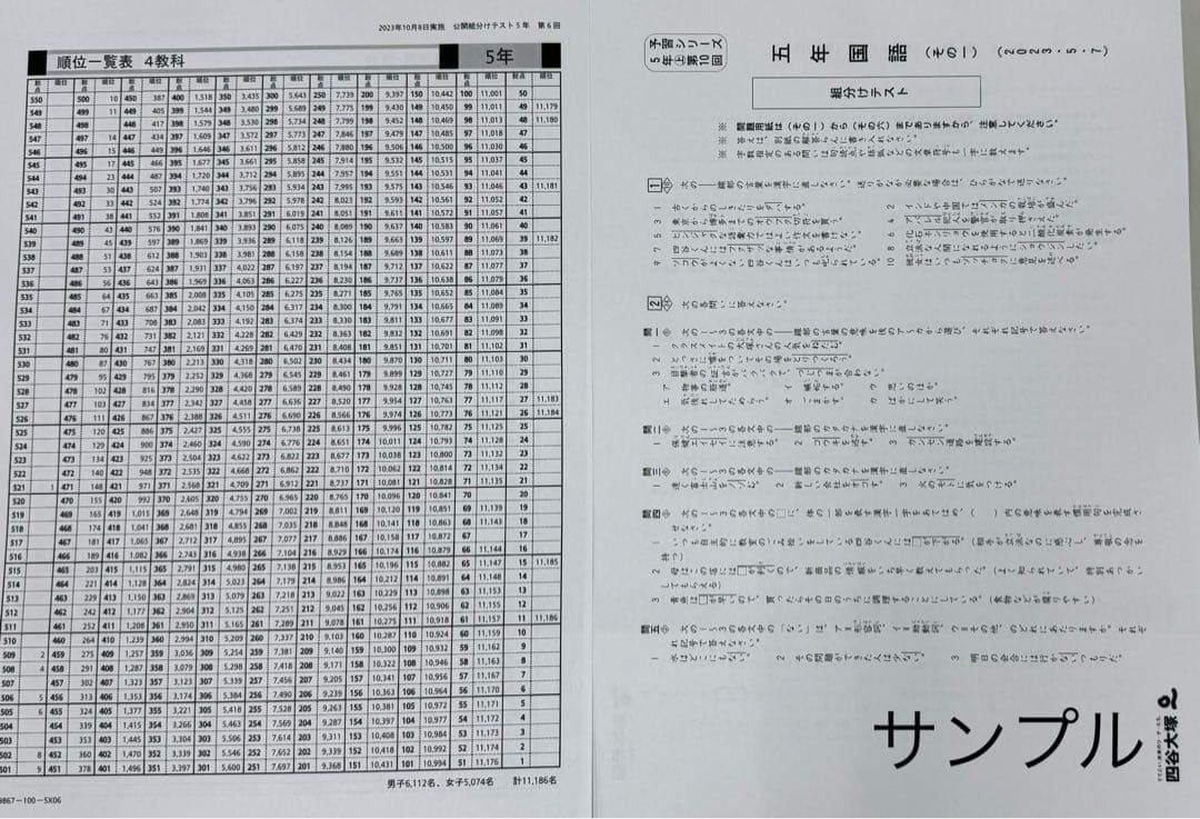 トトロ⭐️⭐️四谷大塚　5年生　組分けテスト　3年分　過去問フルセット