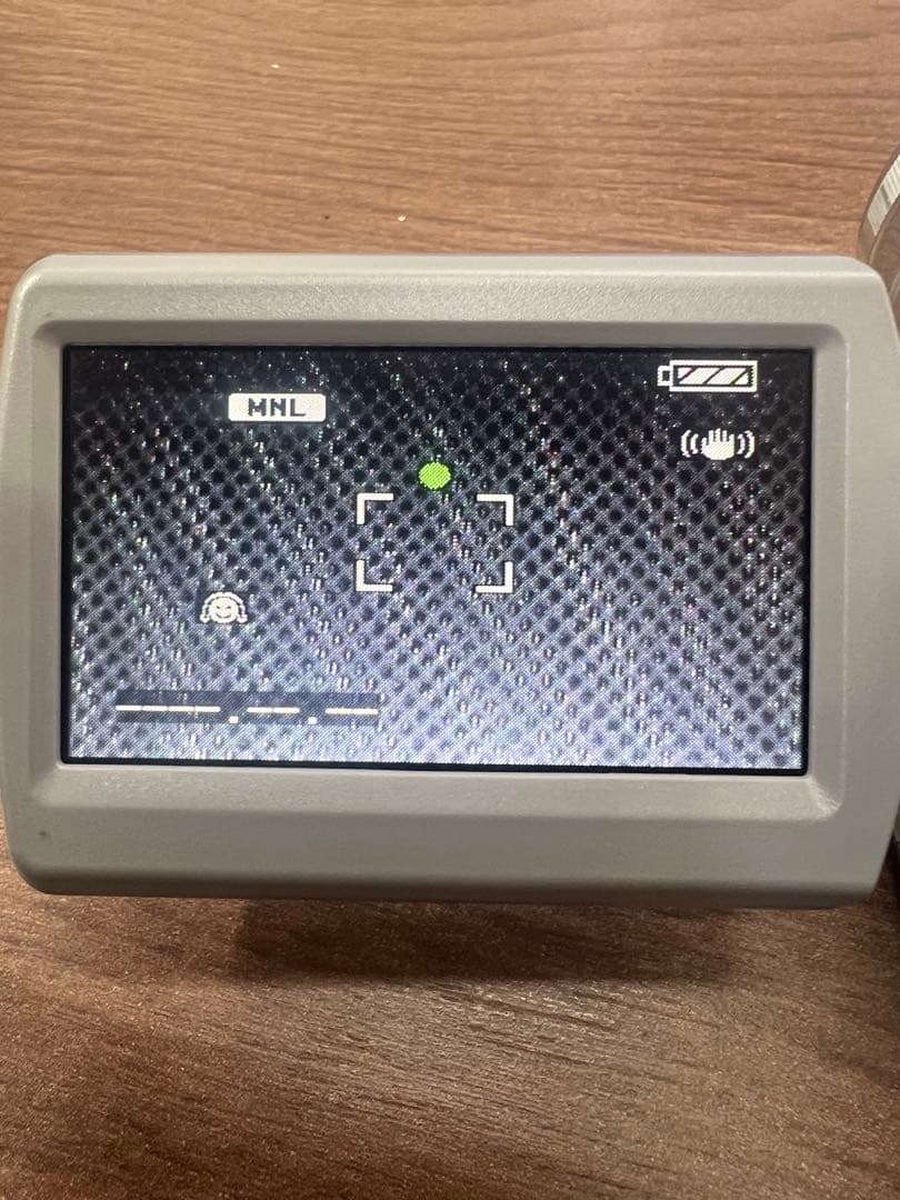 【動作確認済】Panasonicパナソニック　NV-GS300 ビデオカメラ