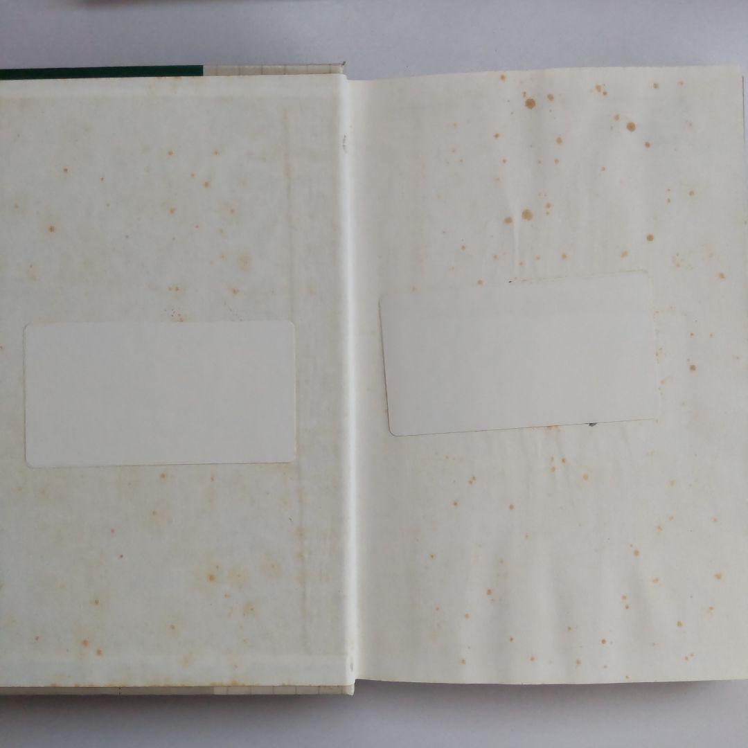 洋書 SPICE Practical Device Modeling