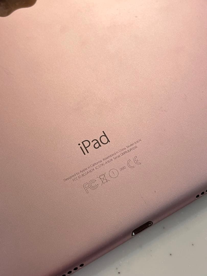 iPad Pro 9.7インチ　本体