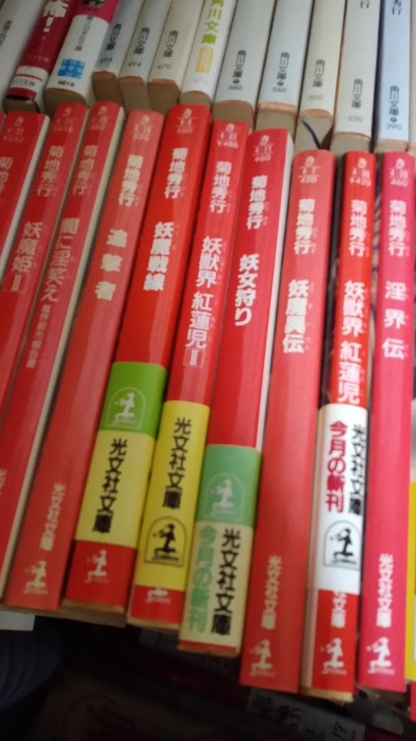 期間限定お値下げ！早い者勝ち！　菊池秀行さん　１１２冊セット