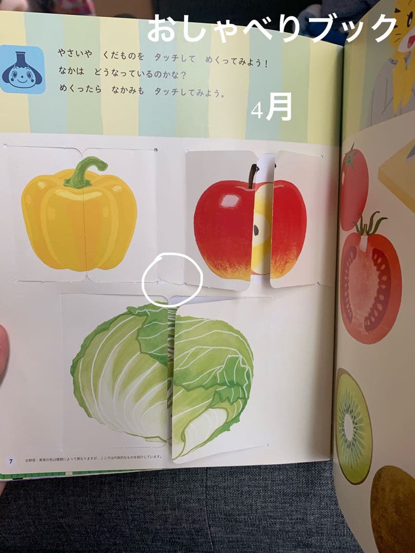 【美品】ベネッセ　しまじろう　こどもちゃれんじぽけっと　おしゃべりぶっく