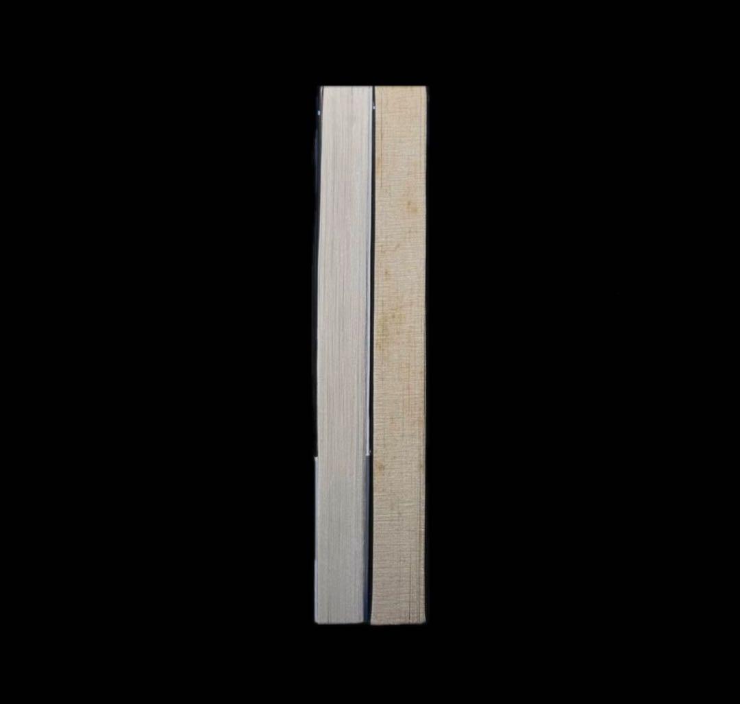 【傑作】禁断シリーズ2冊セット 綺羅光