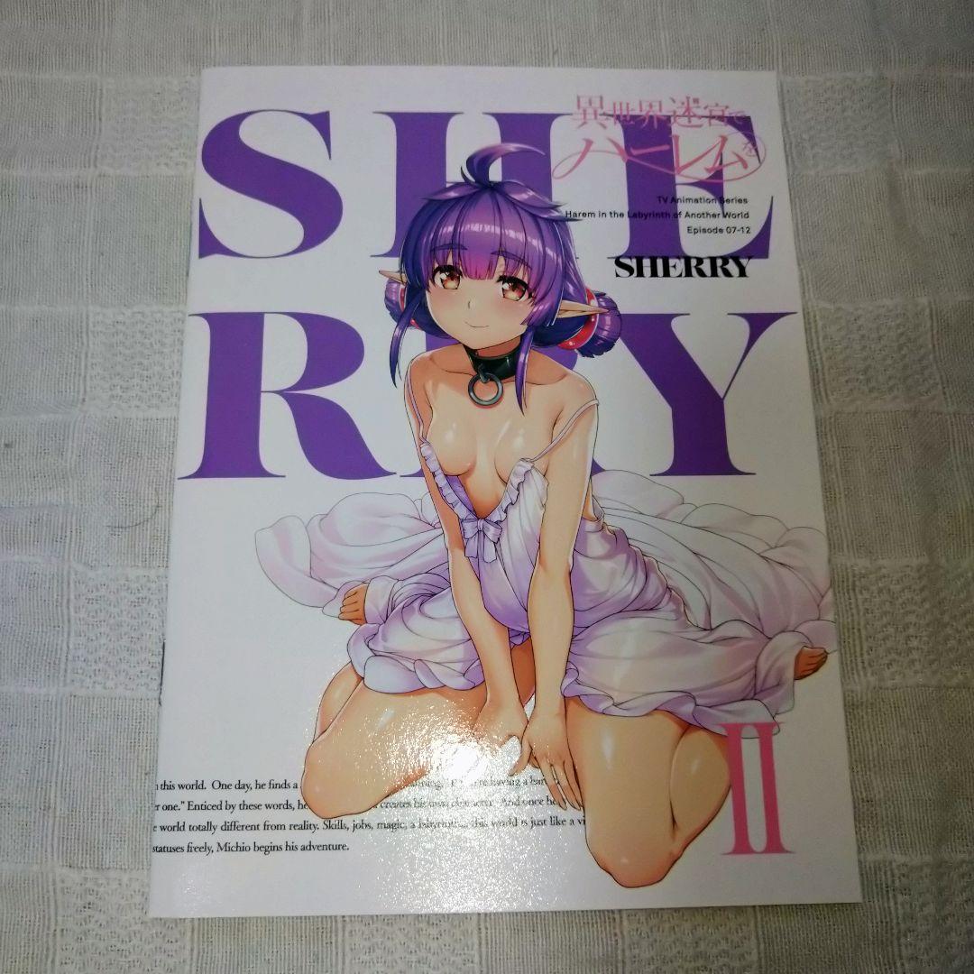 異世界迷宮でハーレムを Blu-ray BOX 下巻