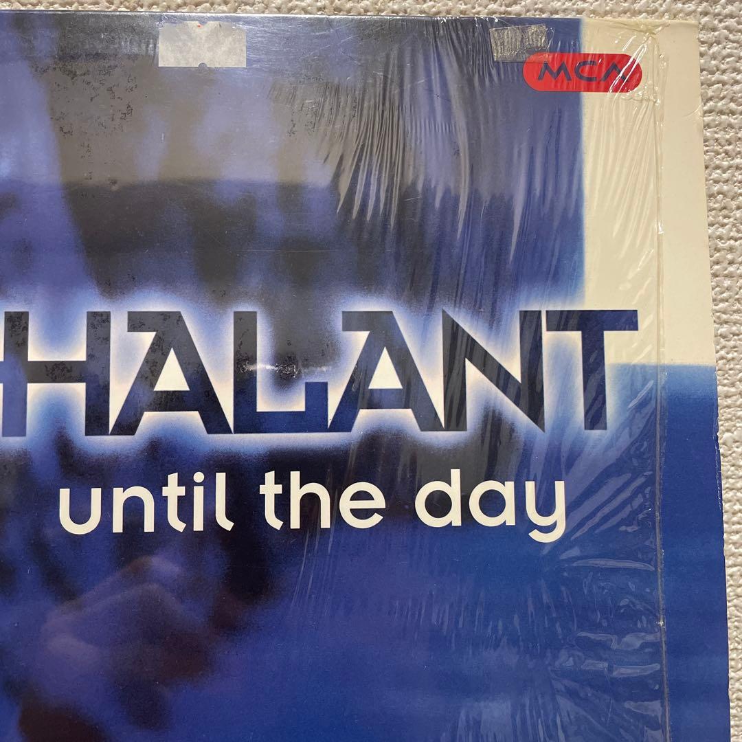NONCHALANT until the day レコード