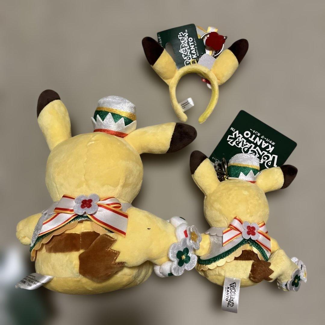 ポケパーク　カントー　ピカチュウ　セット