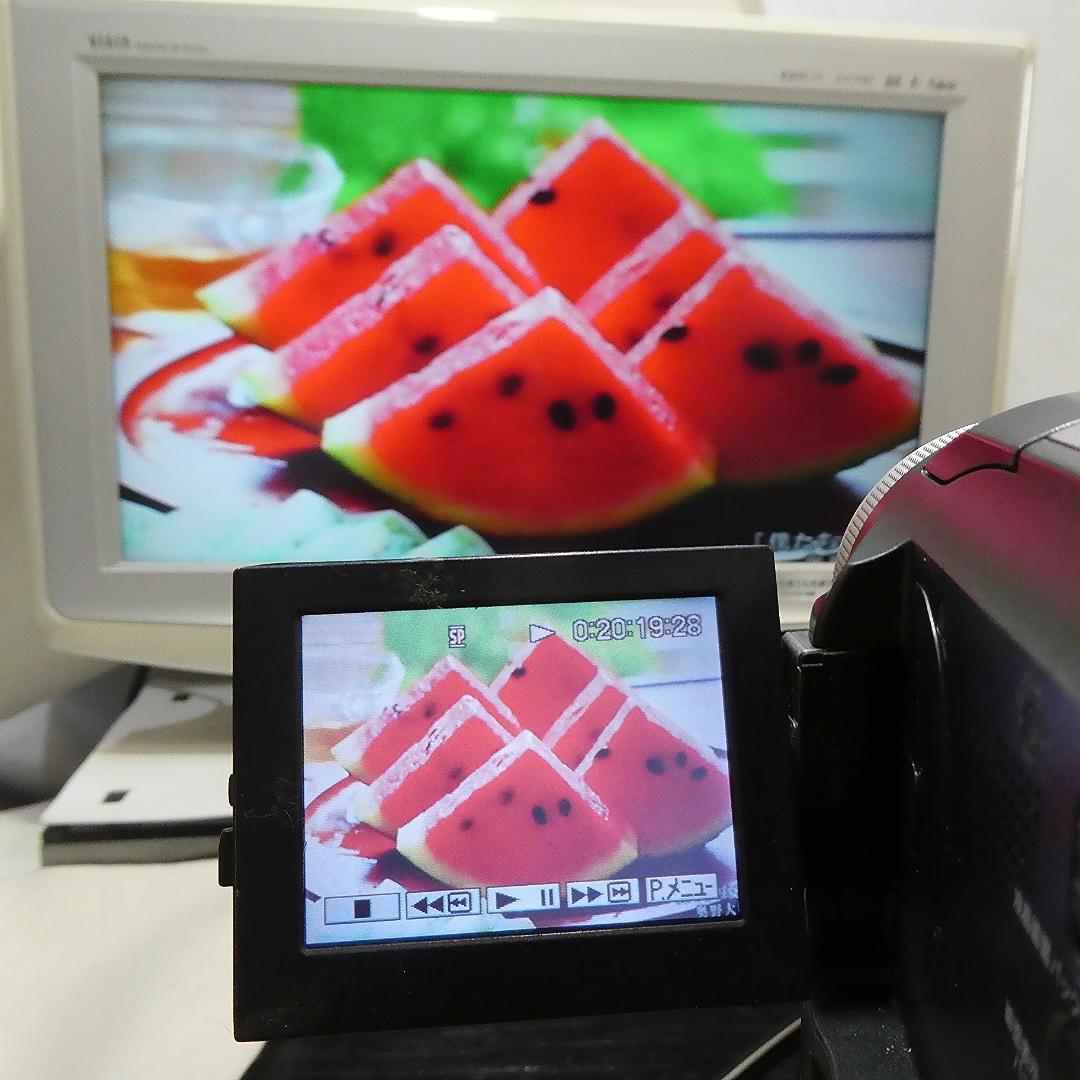 ソニー DCR-PC300【動作良好】MiniDVビデオカメラ　ダビングに最適