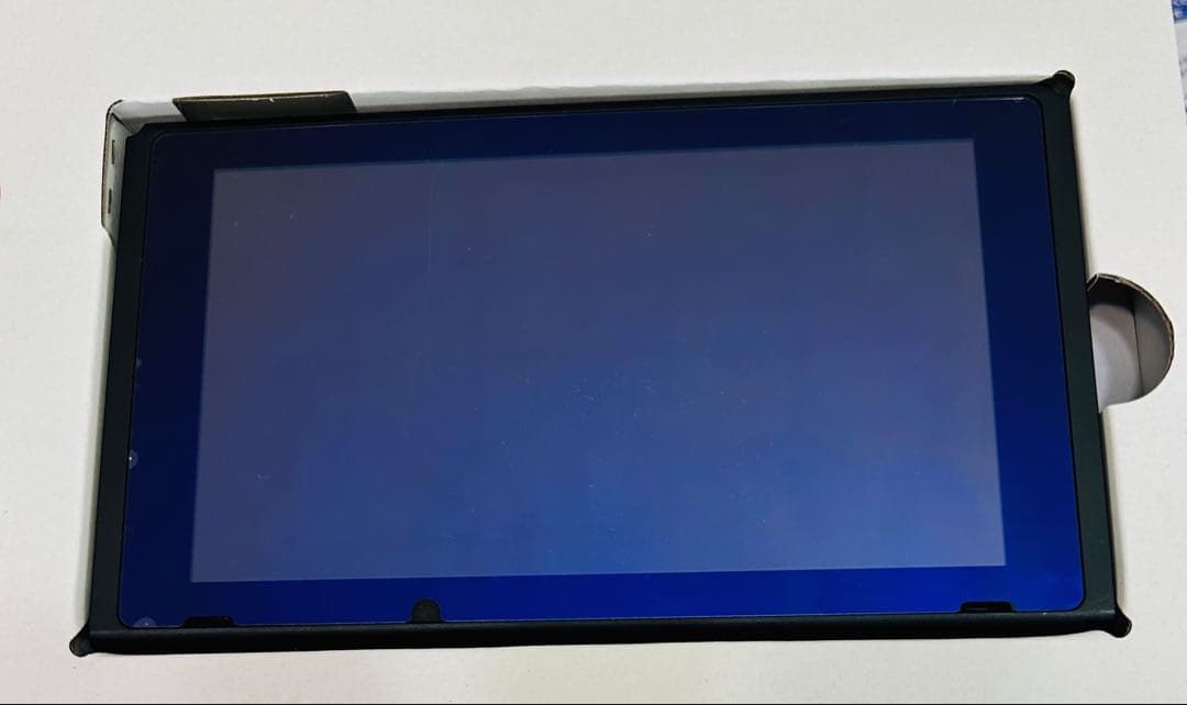 安*引様 Nintendo Switch 本体