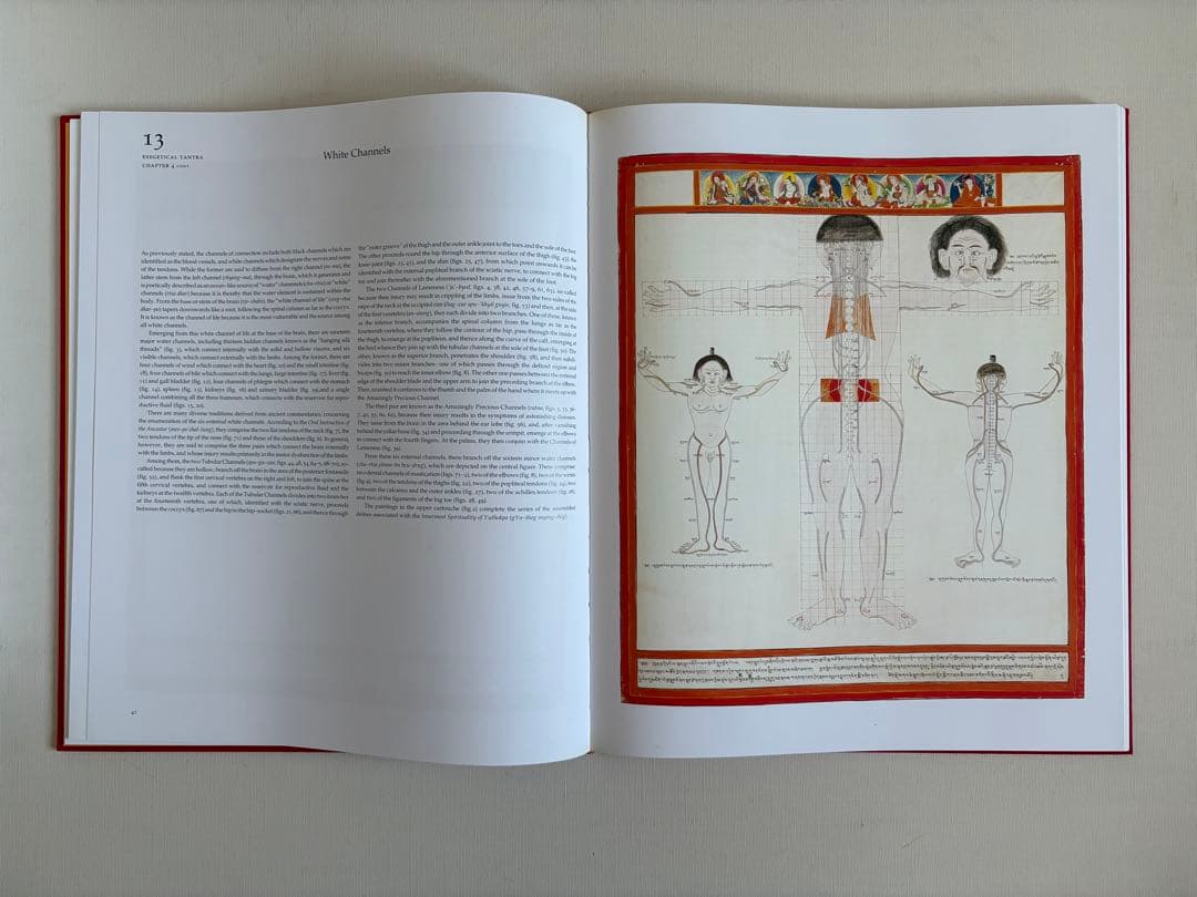 洋書 Tibetan Medical Paintings