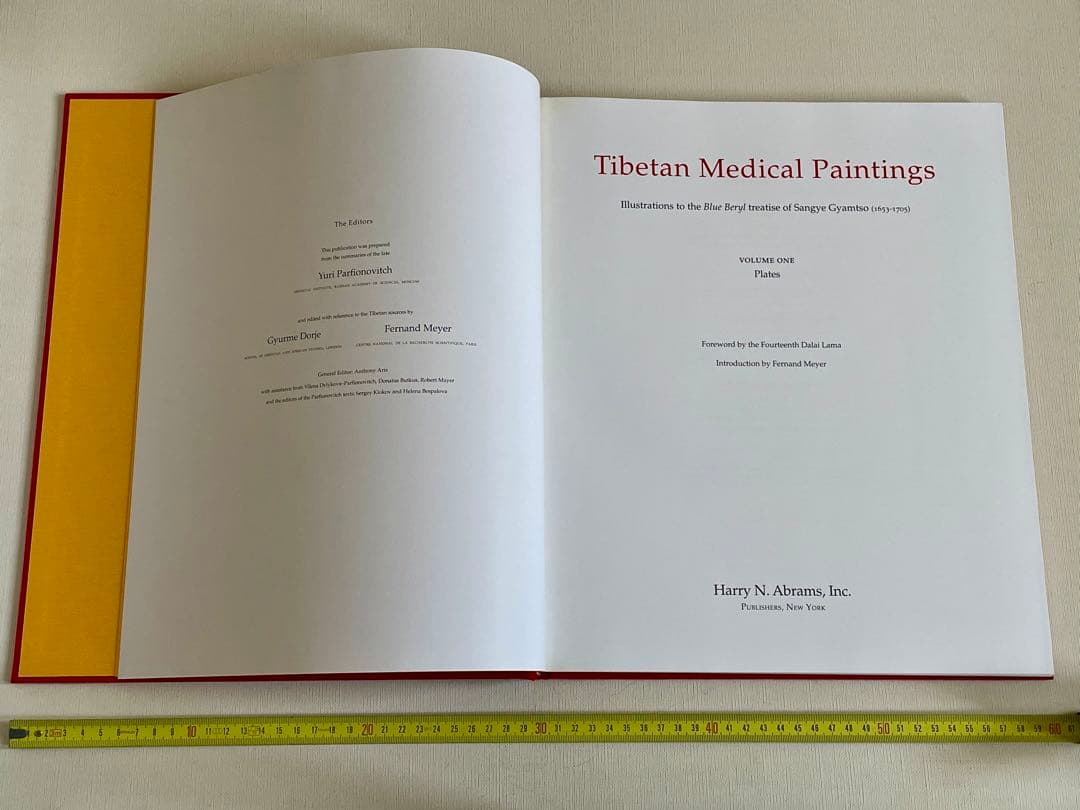 洋書 Tibetan Medical Paintings