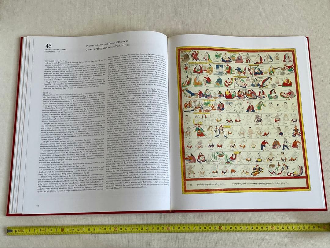 洋書 Tibetan Medical Paintings
